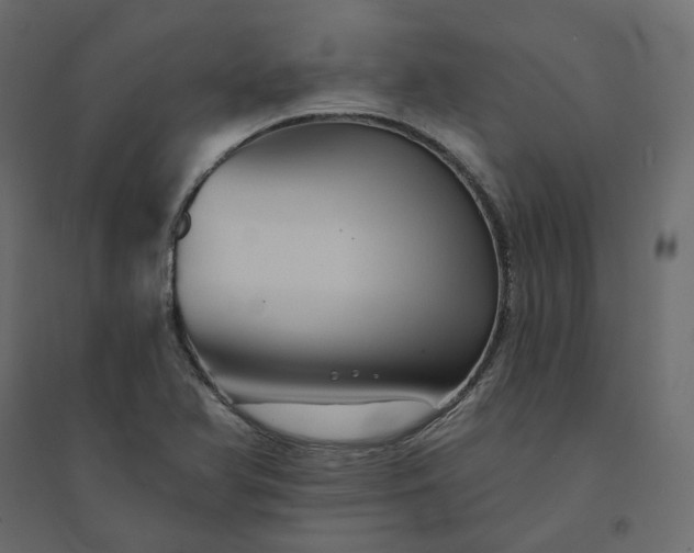 X0000094421366200711211401