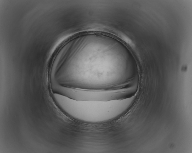 X0000094421368200711211401