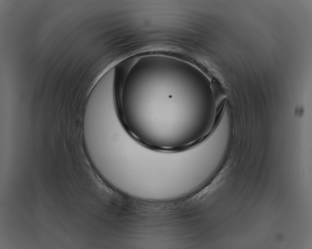 X0000094421369200711211401