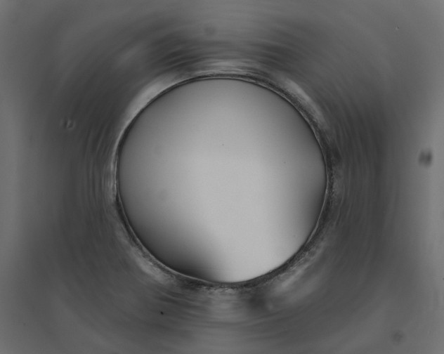 X0000094421370200711211401