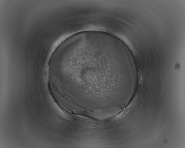 X0000094421371200711211401