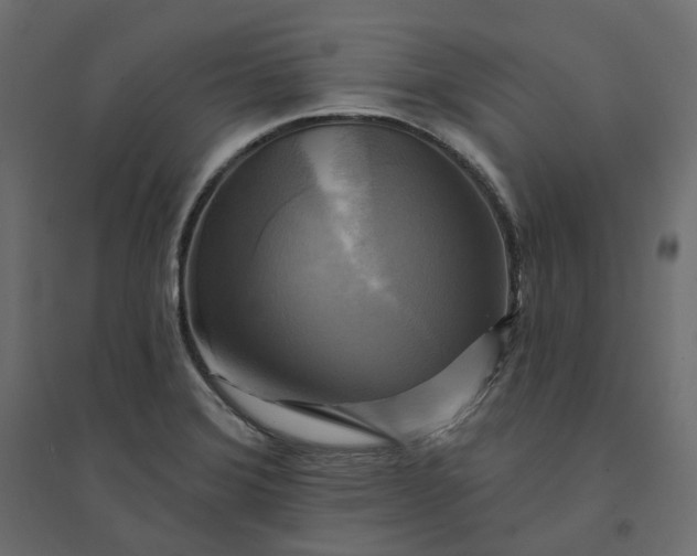 X0000094421372200711211401