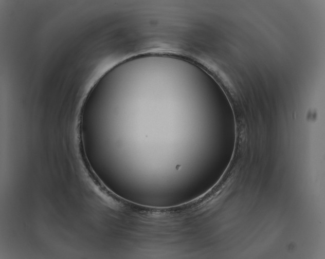 X0000094421375200711211401