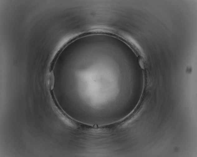 X0000094421376200711211401