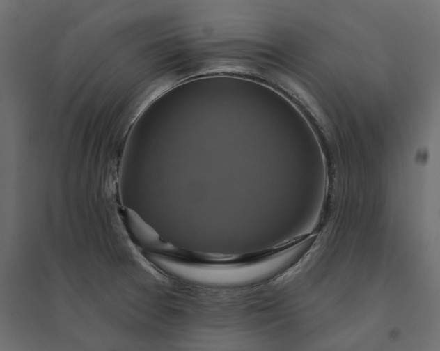 X0000094421377200711211401