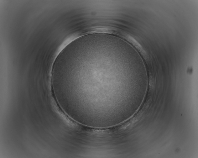 X0000094421378200711211401