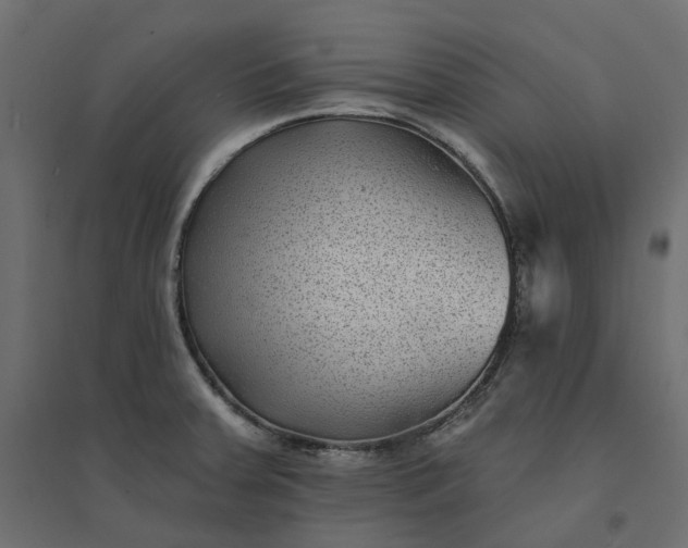 X0000094421379200711211401