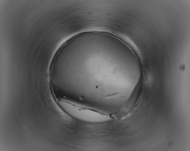 X0000094421380200711211401