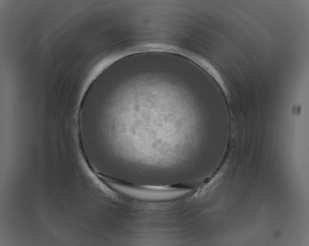 X0000094421381200711211401