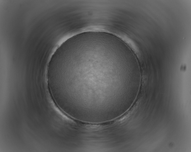 X0000094421382200711211401