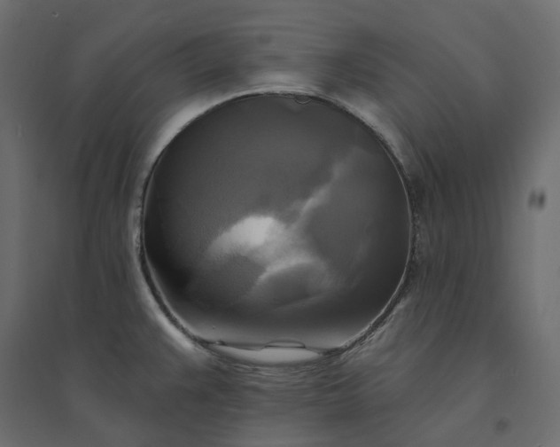 X0000094421383200711211401