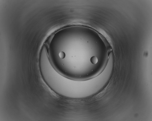 X0000094421384200711211401