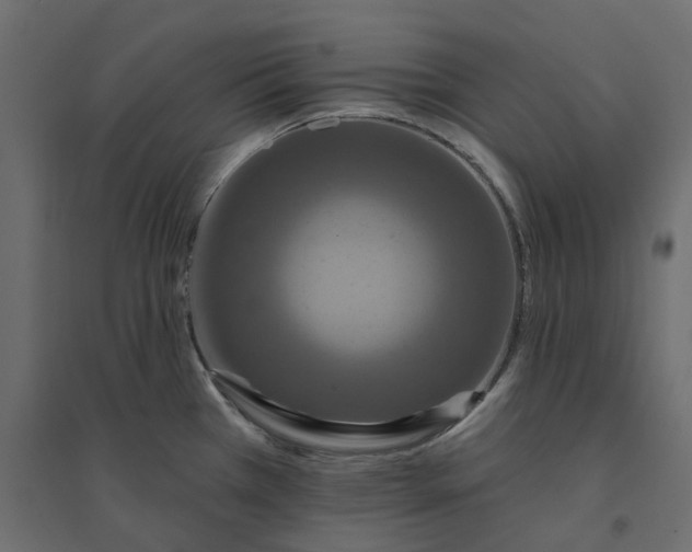 X0000094421385200711211401