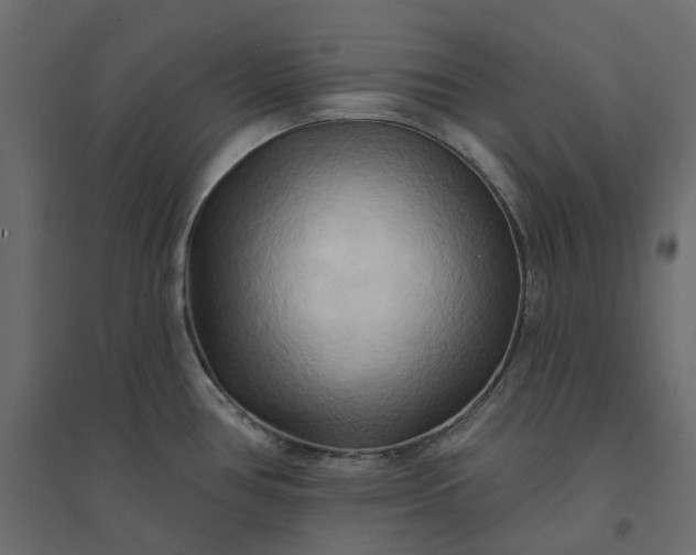 X0000094421386200711211401