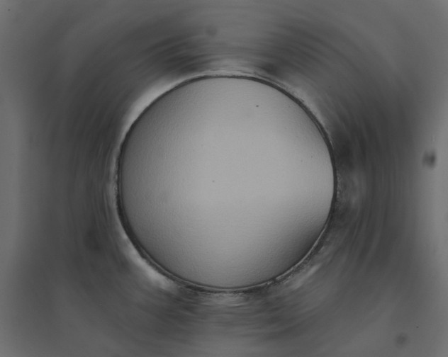 X0000094421387200711211401