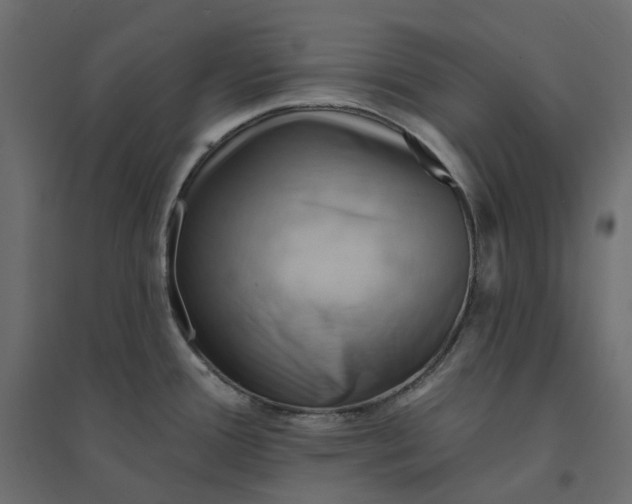 X0000094421388200711211400