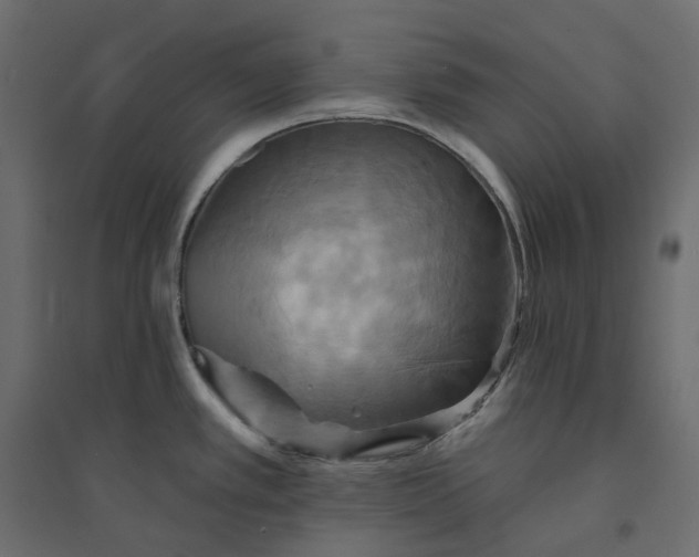 X0000094421389200711211400