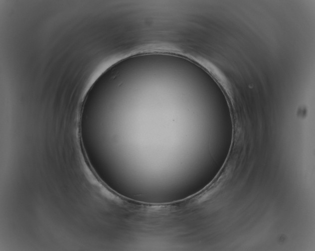 X0000094421390200711211400