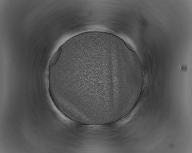 X0000094421391200711211400