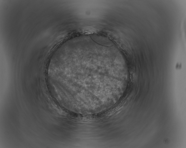 X0000094421393200711211400
