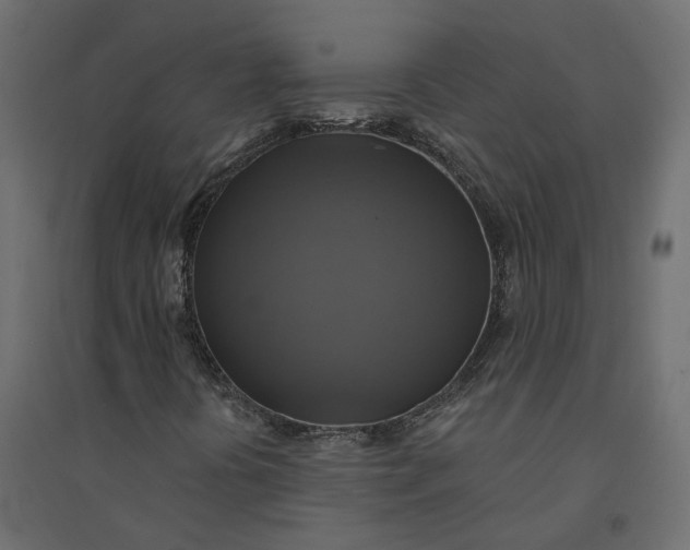 X0000094421394200711211400
