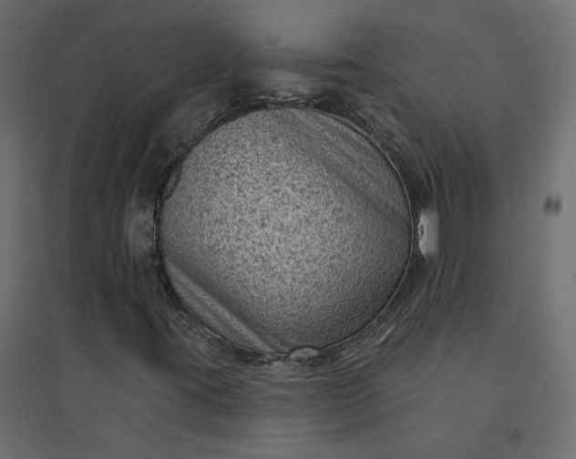 X0000094421395200711211400