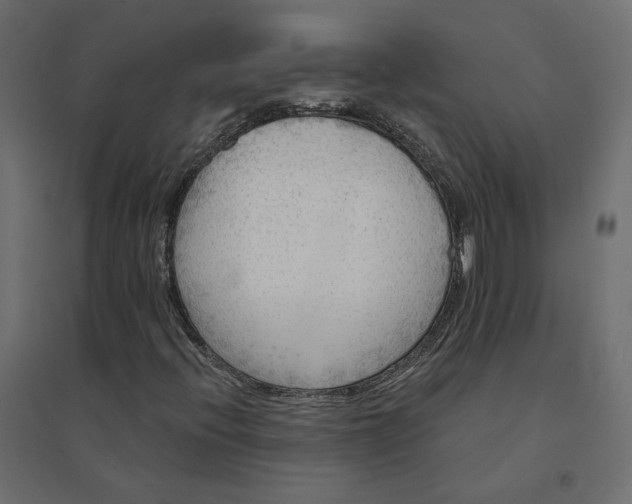 X0000094421396200711211400