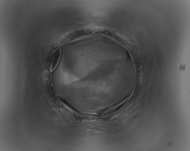 X0000094421397200711211400