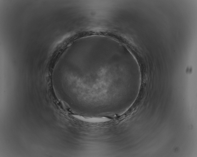 X0000094421398200711211400