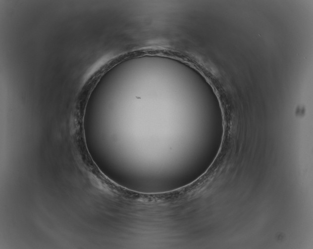 X0000094421400200711211400