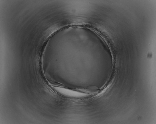 X0000094421401200711211400