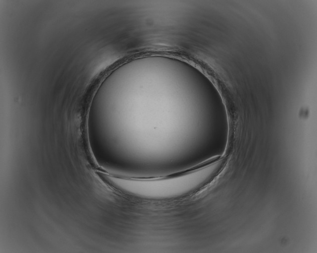 X0000094421402200711211400