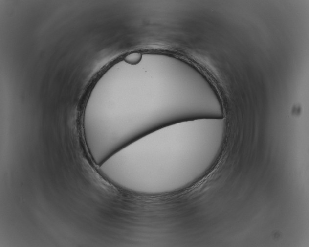 X0000094421404200711211400