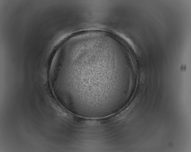 X0000094421407200711211400