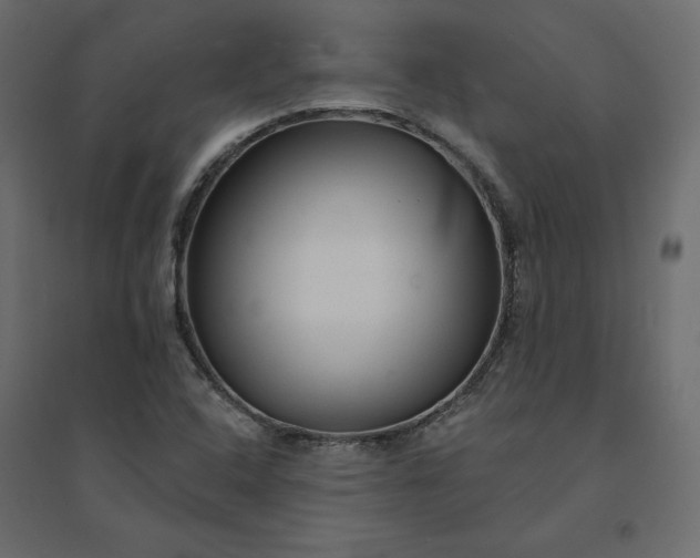 X0000094421408200711211400