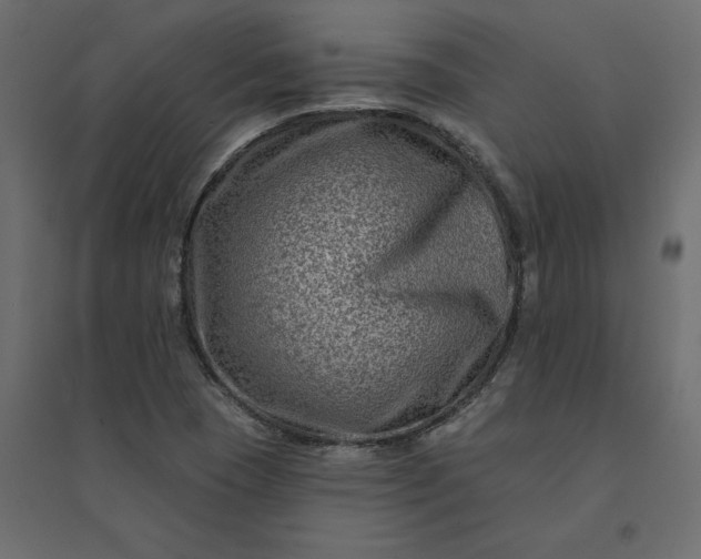 X0000094421409200711211400