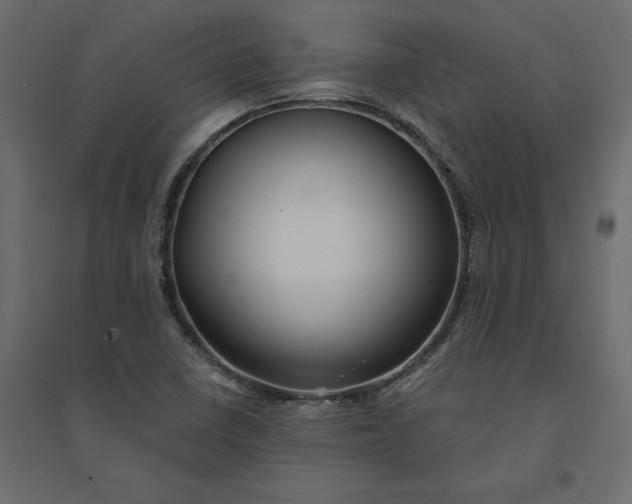 X0000094421410200711211400