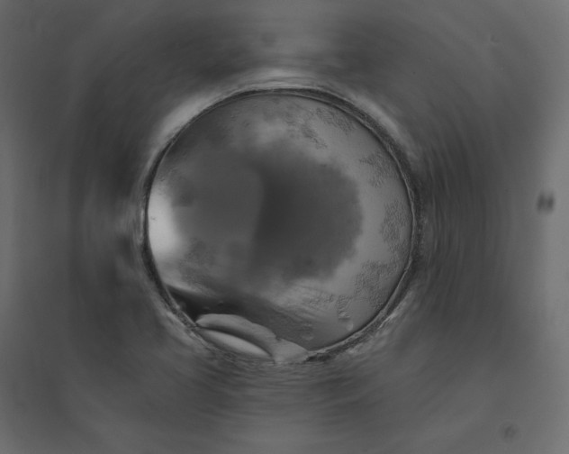 X0000094421413200711211400