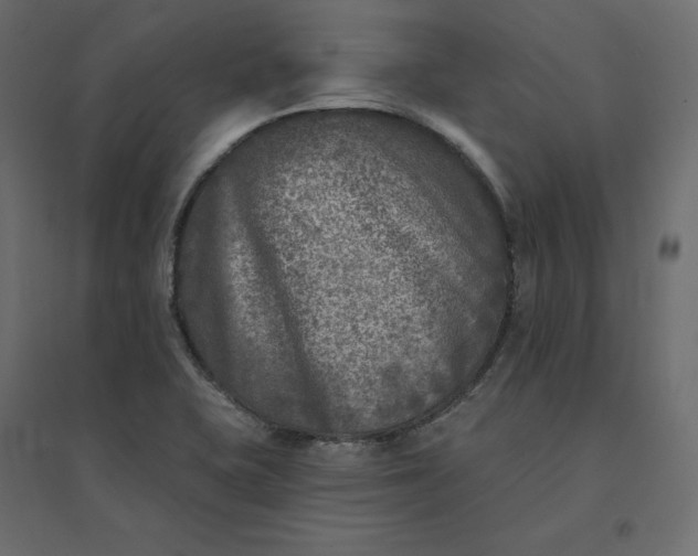 X0000094421415200711211400