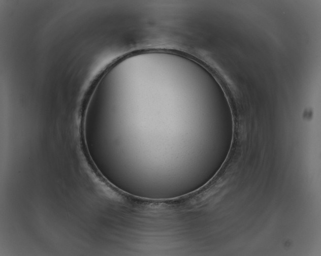 X0000094421416200711211400