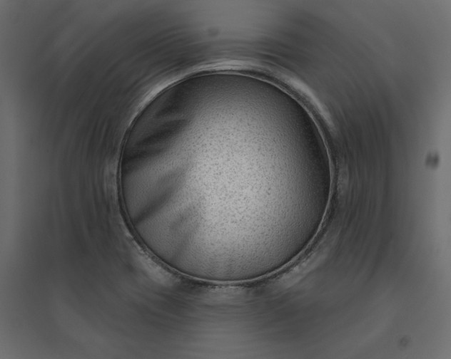 X0000094421417200711211400