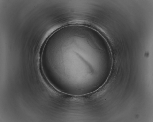 X0000094421418200711211400