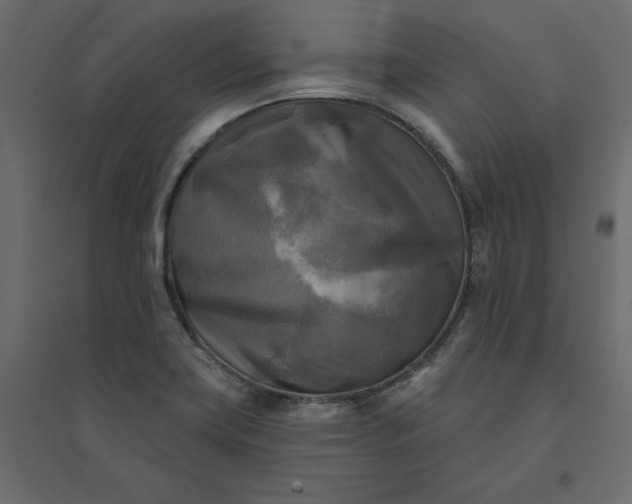 X0000094421419200711211400