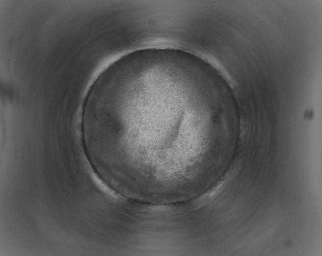 X0000094421421200711211400
