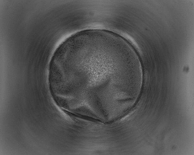 X0000094421424200711211400