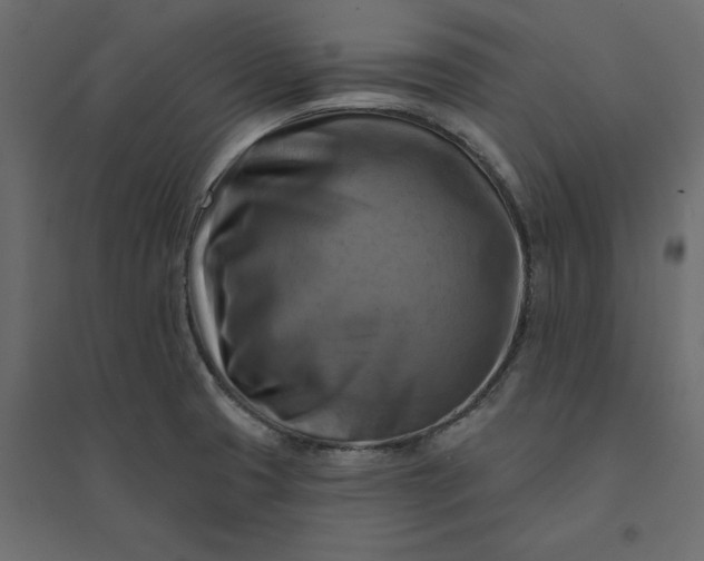 X0000094421425200711211400