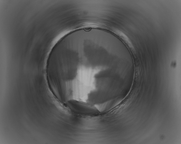 X0000094421427200711211400