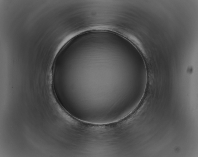 X0000094421428200711211400