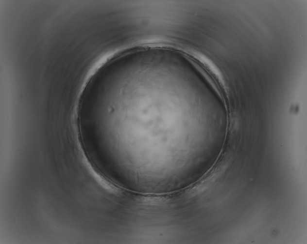X0000094421429200711211400