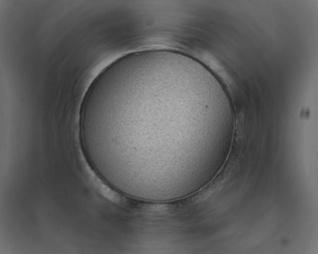 X0000094421431200711211400